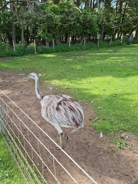 East Links Family Park