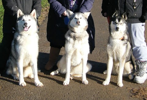 Wolds Veterinary Clinic