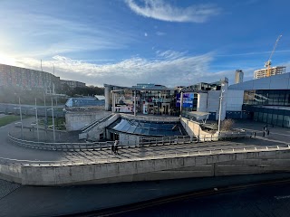 Ponds Forge Swimming Pool