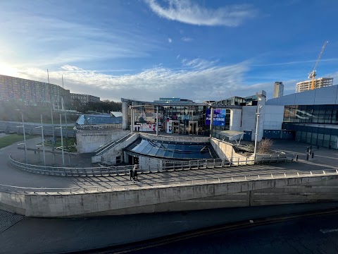 Ponds Forge Swimming Pool