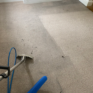 Carpet Solutions Manchester