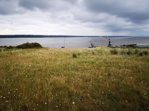 Port Sunlight River Park