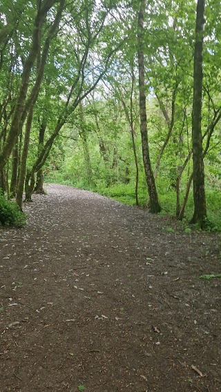 Alkrington Woods Nature Reserve