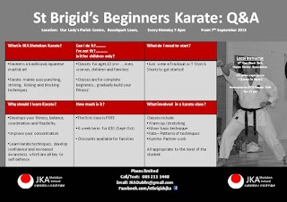 St Brigids Karate Club- Castleknock