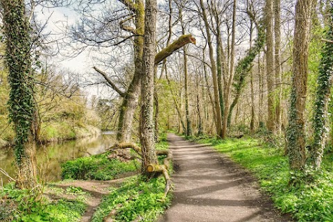 Lagan Valley Regional Park