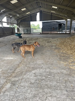 Rookery Lodge Complete Canine Care