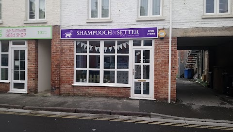 Shampooch & Setter dog grooming