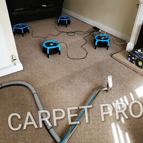 Carpet Pro Belfast