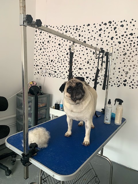 Only Tails&Paws Dog Grooming