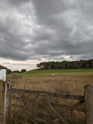 Iverley Lodge - Kennels & Cattery