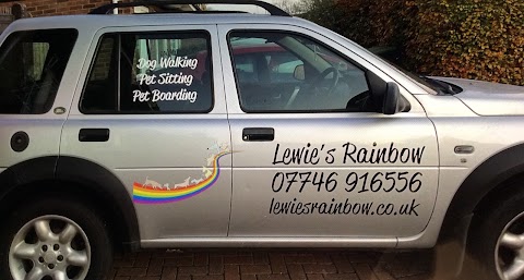 Dog Walking Bedford - Lewie's Rainbow