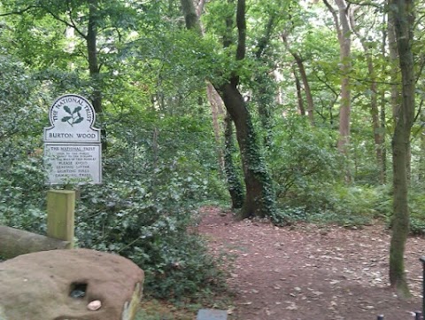 Burton Woods