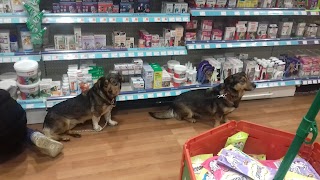 Pets at Home Wimbledon