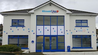 Kilcoole Vets