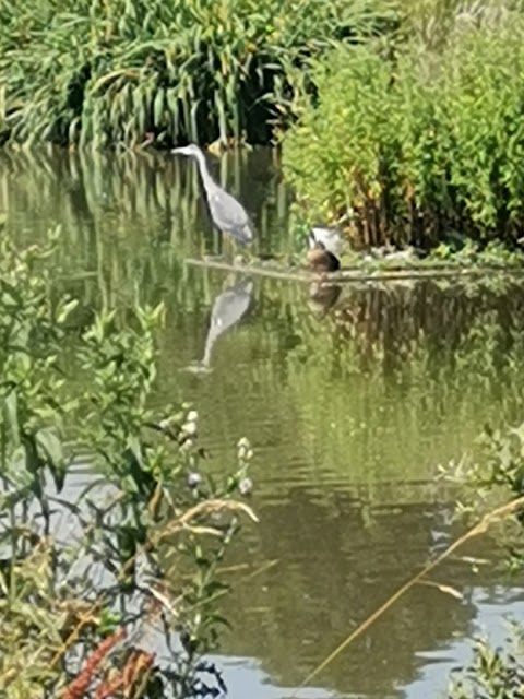 Derwenthorpe Childrens Park