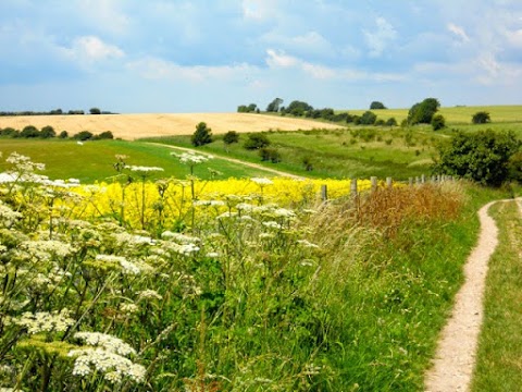 Amberley House Cottage Holidays