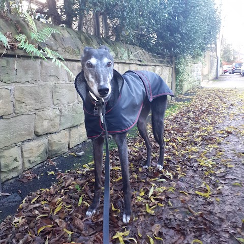 Four Legged Friends Sheffield