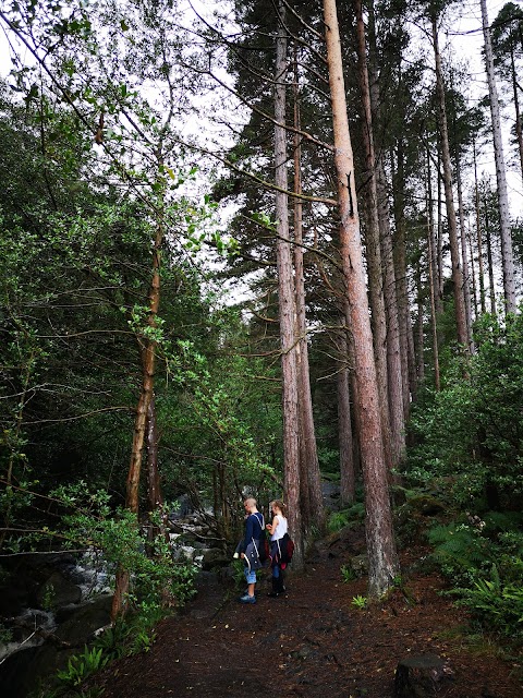 Donard Fold