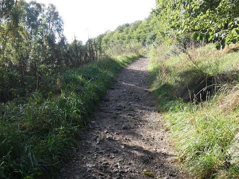 The hill above the lakeside