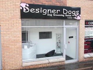 Designer Dogs