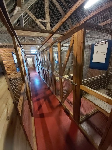 Vicarage Farm Cattery