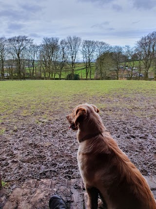 Cullingworth Pooches Playground Secure Field