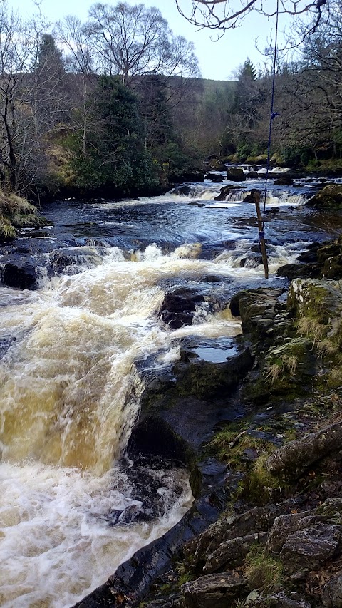 Jacksons Falls