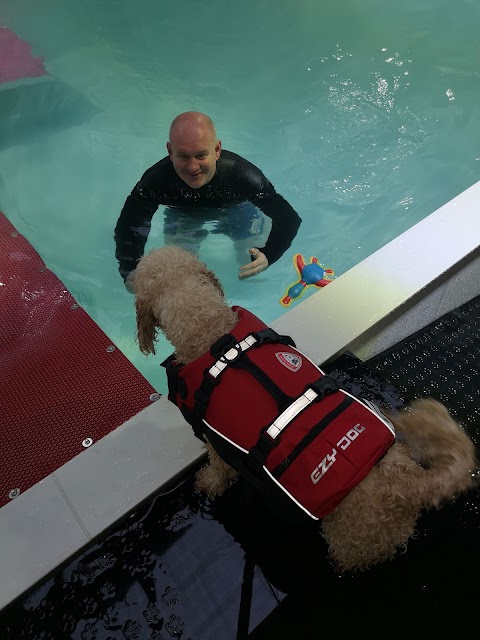 Red Rover Dog Daycare & Fun Pool