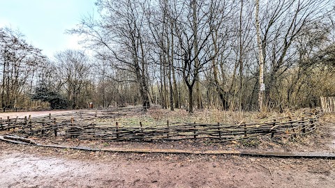 Moseley Bog