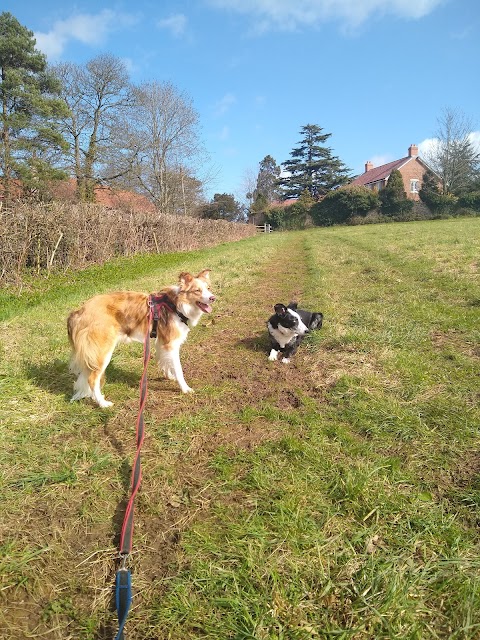 Mundy Playing Fields