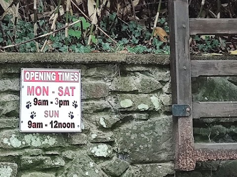 Noddfa Boarding Kennels