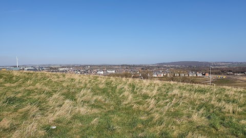 Waverley Lakes & Park