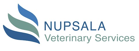 Nupsala LTD