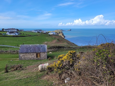 Tours of Wales