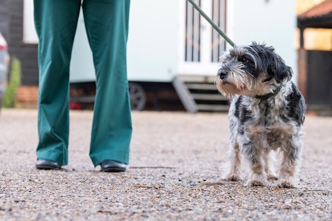 Hall Place Veterinary Centre