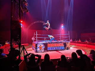 DareDevil Circus