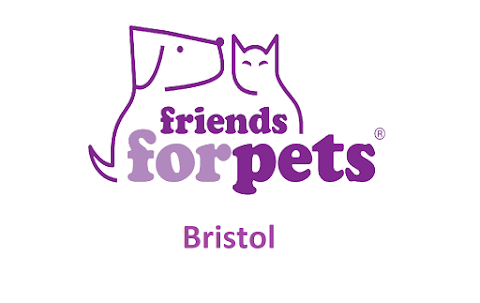 Friends for Pets Bristol