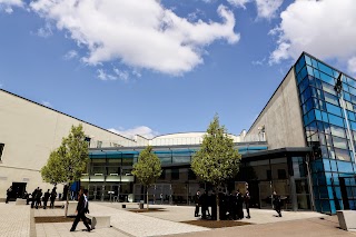 The Petchey Academy