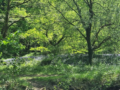 Sirhowy Valley Country Park.