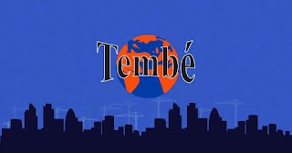 Tembe DIY Products Ltd