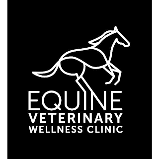 Equine Veterinary Wellness Clinic