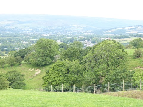 Mount View Farm Kennels and Cattery