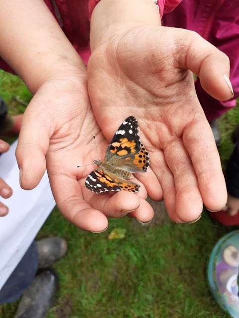 Toddlers Inn Children's Nursery