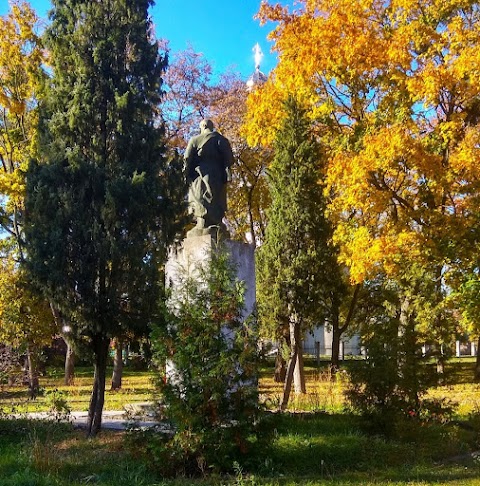 Парк ім. Т. Шевченка