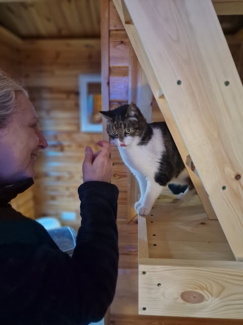 Woodland Nook Boarding Cattery