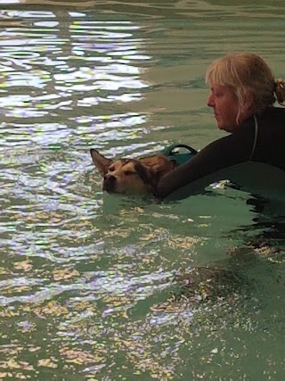 East Sussex Canine Hydrotherapy Centre