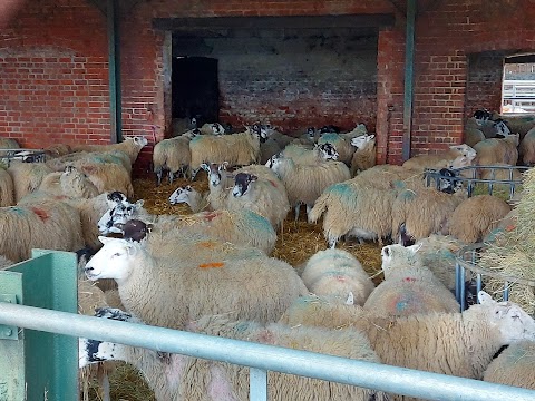 Lancaster Farm Shop