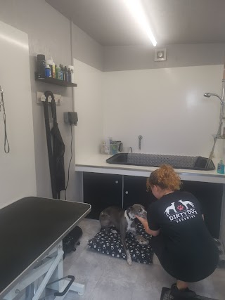 Dirtydogpetgrooming