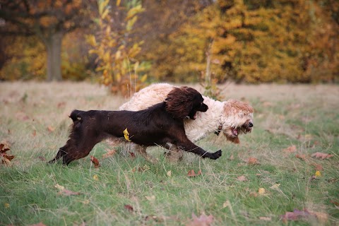 Agnes & Pavel