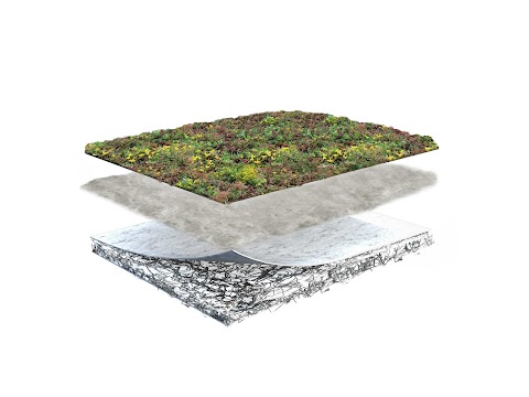 The Green Roof Company